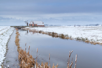 Fototapeta na wymiar house by river in snow on Dutch farmland