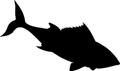 tuna fish 