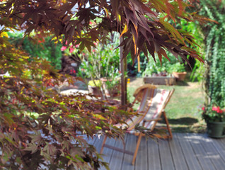 Naklejka premium feuillage d'érable du Japon sur terrasse 