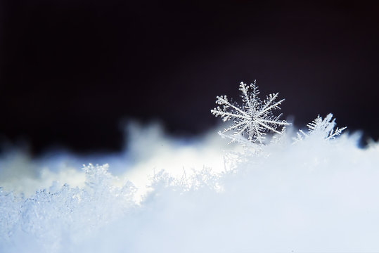 Snowflake photo. Macro nature photo