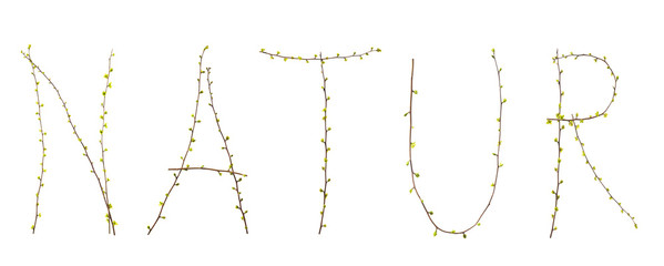 Natur Zweige mit Blättern