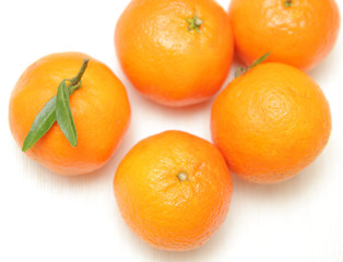 Tangerines on white background