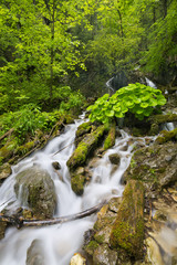 Waterfall in a lush gorge in Slovenský Raj, Slovakia