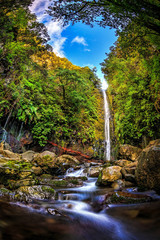 25 Wasserfälle (Madeira) - obrazy, fototapety, plakaty