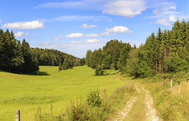 Fototapeta na wymiar Sonnige Landschaft in der Franche-Comté