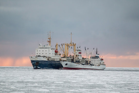 fishing base delivers products to the cold storage in the sea of Okhotsk