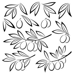 Set Olive Branches, Berries and Leaves Monochrome Black Pictograms Isolated on White Background. Vector