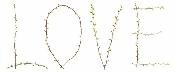 Love Zweige mit Blättern
