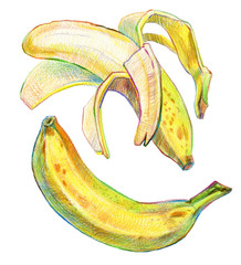 Hand drawn banana. 