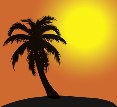 Fond palmier vacances