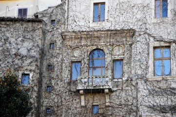 Fototapeta na wymiar old building architecture in Rome overgrown loach