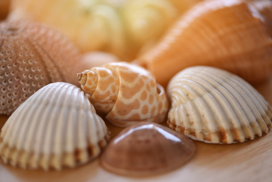 stock photos vectors adobe stock