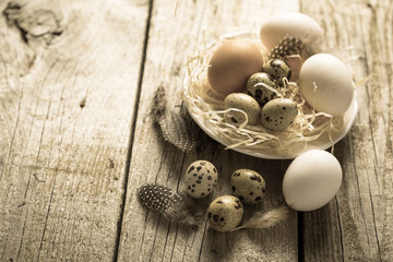 Easter eggs rustic concept