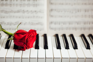 red rose on piano keys and music book