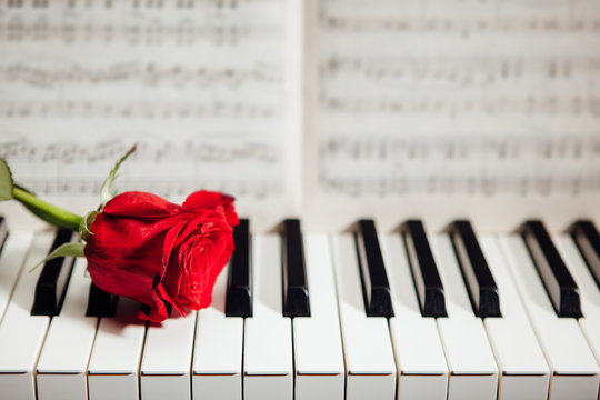 Red Rose On Piano Keys And Music Book