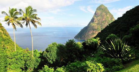 Fototapeta premium Vegetation near Piton