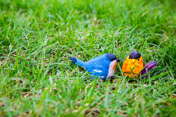 Doll bird on a background of green grass.