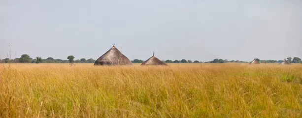 Fotobehang panorama of grassland of south sudan © Wollwerth Imagery
