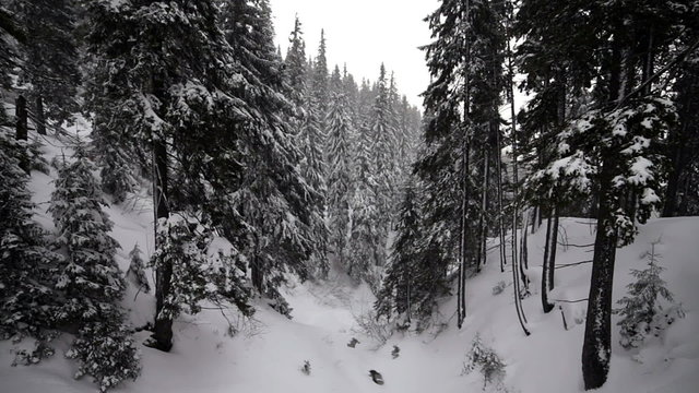 Winter. The Mountain landscape.