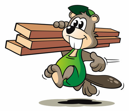 Beaver Carpenter transport