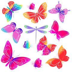 butterflies design