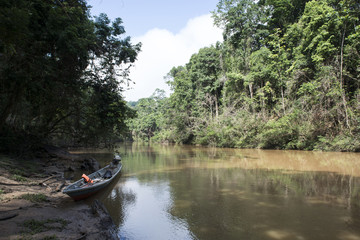 Río en la jungla del parque nacional Taman Negara, Malasia, 