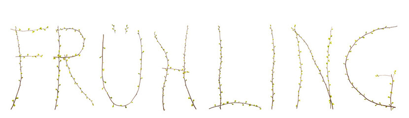 Frühling Zweige mit Blättern