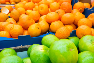 Pile of fresh green pamelos and oranges
