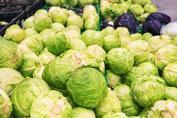 Fresh cabbage at farmers market