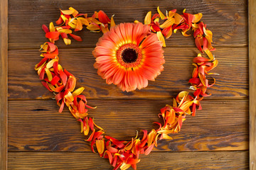 flowers in shape of heart on wooden background