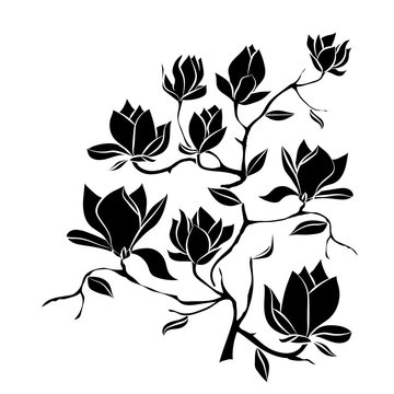 black magnolia flowers on white background clip art preview