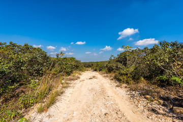 Road in forest, Phuluang Wildlife Sanctuary at Loei provice, Thailand.
