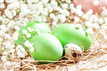 Green easter eggs on old wooden background with dry straws and w