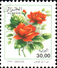 ALGERIA - CIRCA 2004: stamp printed by Algeria, shows Red roses , circa 2004