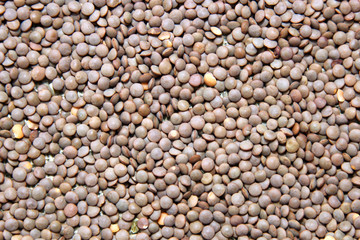 Brown lentils filling the frame making a food texture or background