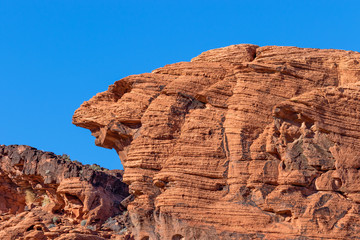 Valley of Fire Landscape