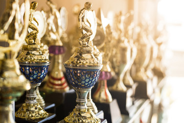 Trophy awards for champion leadership
