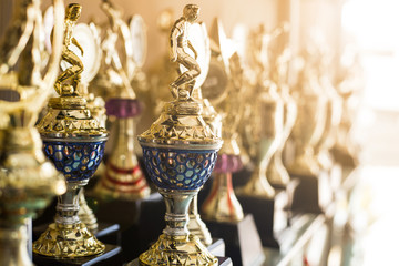 Trophy awards for champion leadership