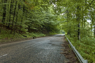Fototapeta na wymiar Picturesque road at Balkan mountain in rainy day, Petrohan, Bulgaria