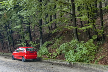 Picturesque road with red car at Balkan mountain in rainy day, Petrohan, Bulgaria
