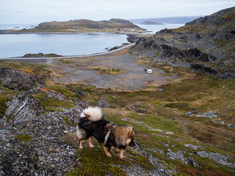 Reisen mit Hund/Wandern im Gebirge mit Hund
