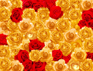 gold and red rose_3