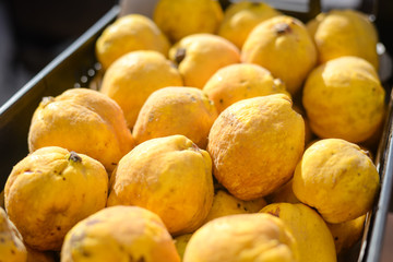Closeup on quince fruits at a local market