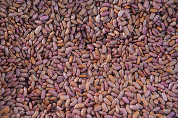 Closeup on group of dry beans.