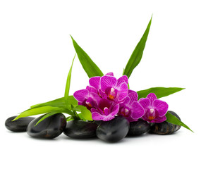 Zen pebbles and orchid flower. Stone spa and healthcare concept.