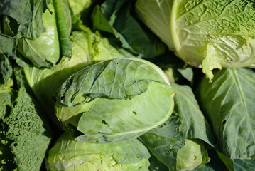 Fototapeta premium Fresh Chinese cabbage on market background