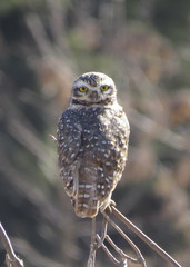 Gente en entretenimiento acuático