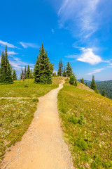 Beautiful Mountain Trail. Blackwall Peak Trail at Manning Park in British Columbia. Canada.