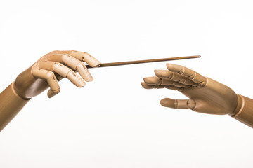 The hands of a conductor. One hand holds the baton, the other hand indicates the nuances. Isolated on white background.