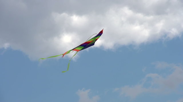 Kite in the Shape of a Bird